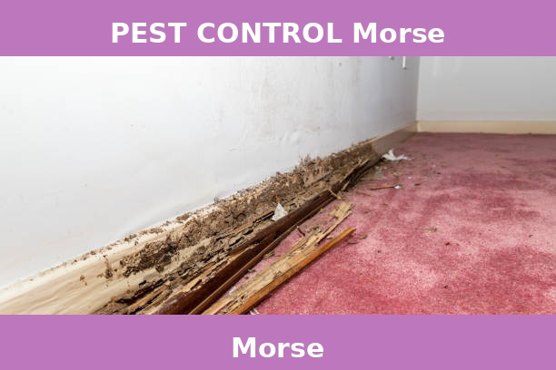 PEST CONTROL Morse